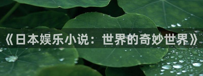 杏鑫娱乐：《日本娱乐小说：世界的奇妙世界》