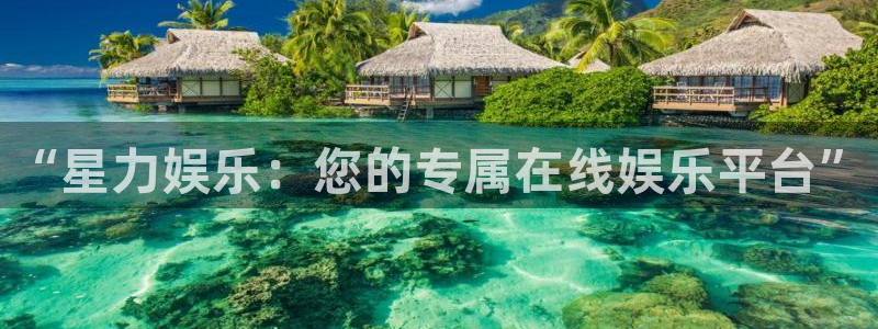 杏鑫娱乐：“星力娱乐：您的专属在线娱乐平台”