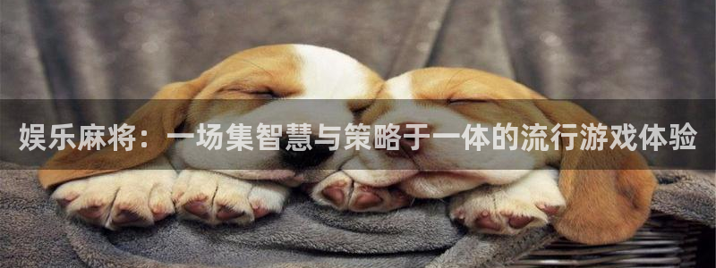 杏鑫娱乐