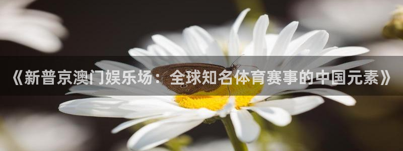 杏鑫娱乐：《新普京澳门娱乐场：全球知名体育赛事的中国元素》
